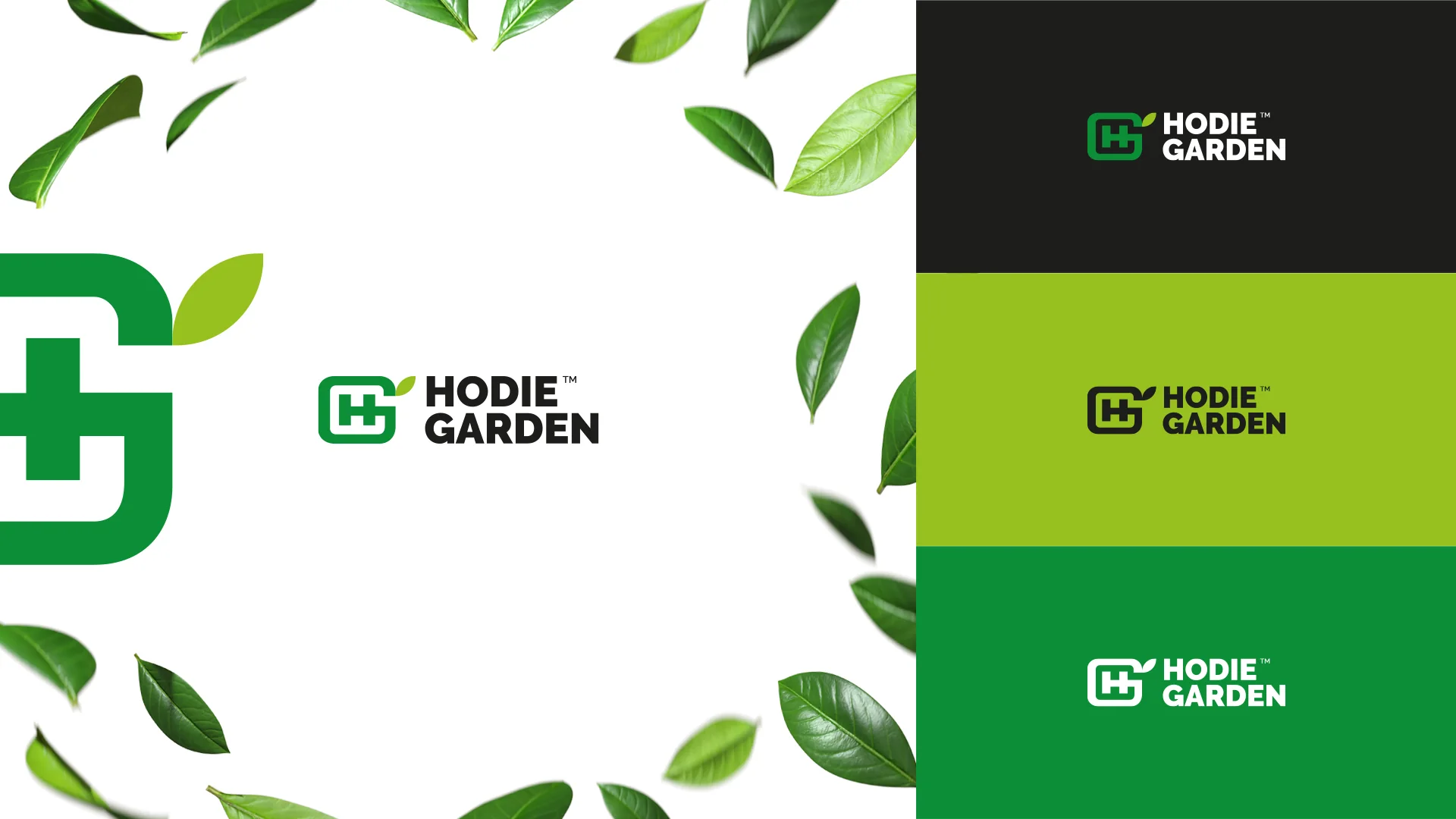 HODIE GARDEN — podgląd projektu